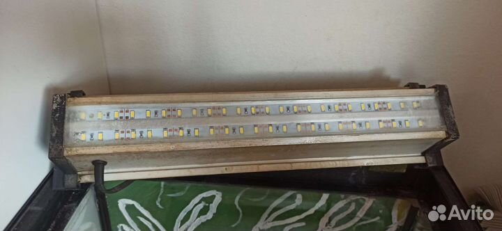 Аквариум на 60 литров