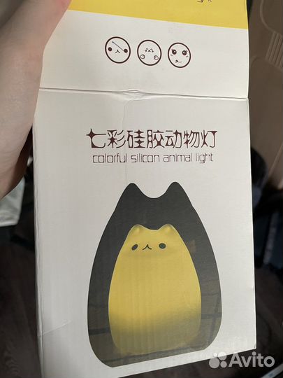 Кот ночник