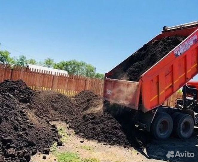 Чернозем плодородный