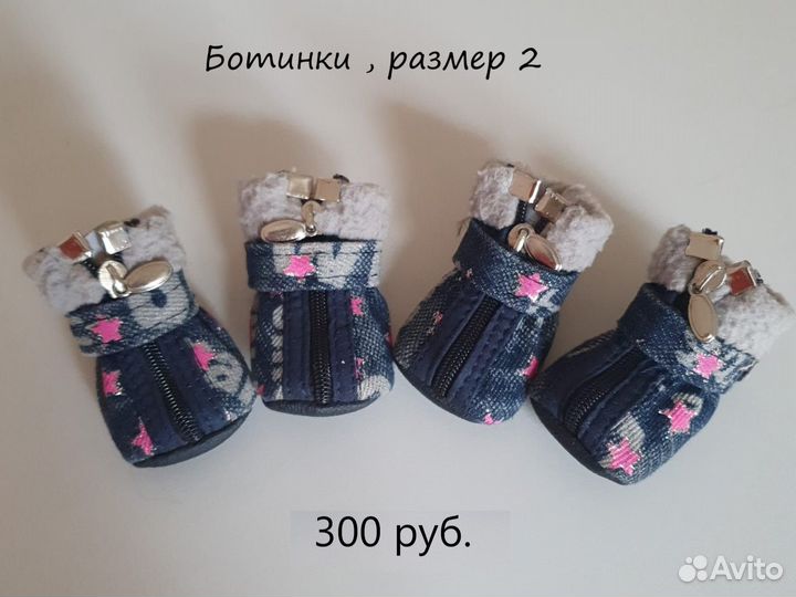 Одежда для собак мелких пород