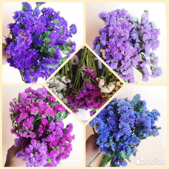 Сухоцветы для творчества