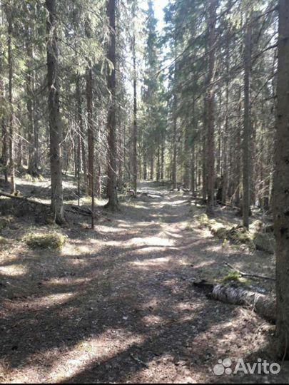 Тайные тропы Карелии