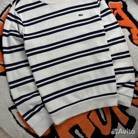 Свитшот Lacoste
