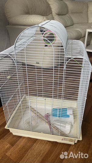 Клетка для птиц