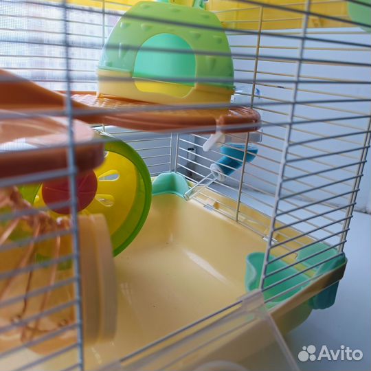 Клетка для хомячка. Внутри рум-тур)