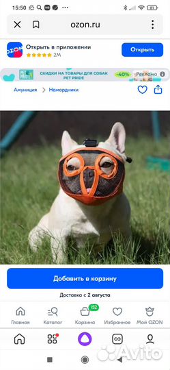 Намордник для маленькой собаки новый