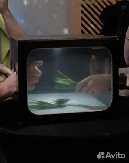 Игра кажется нащупал фанбокс