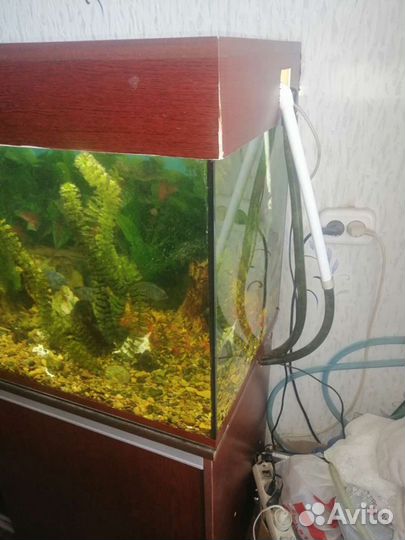 Аквариум