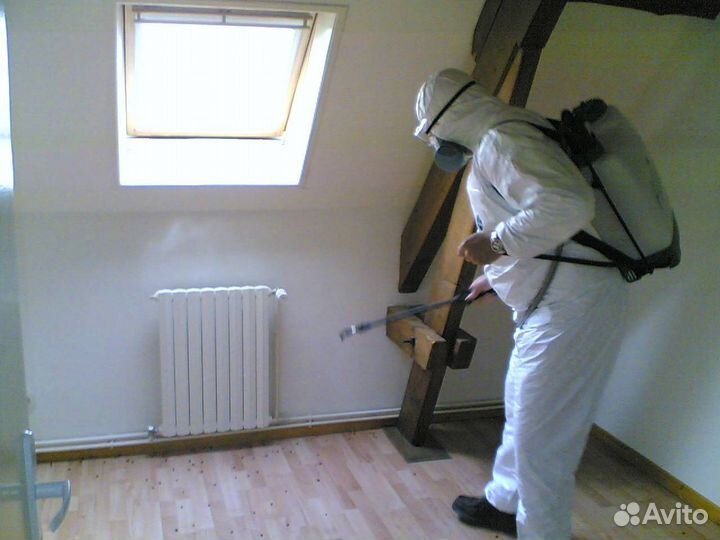 Консультация по уничтожению тараканов Миша Титов j-5800