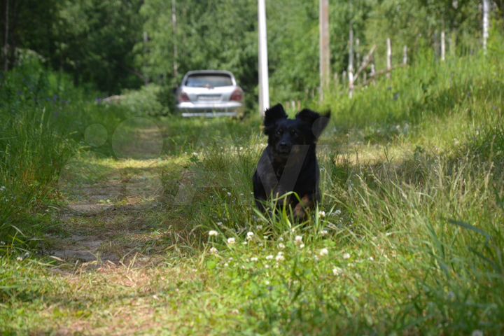 Участок 20 сот. (ИЖС)