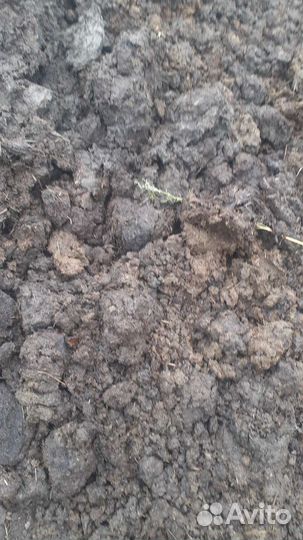 Навоз, перегной