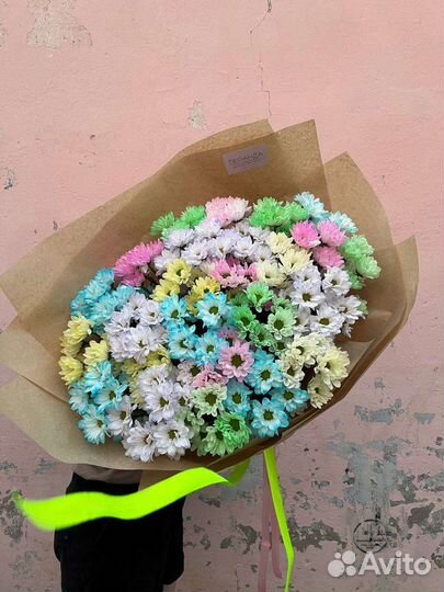 Ромашки. Хризантема ромашковидная