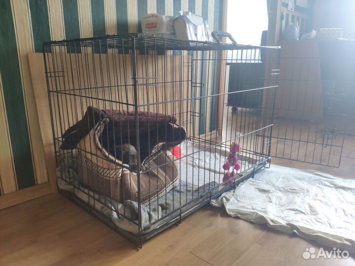 Клетка для животных
