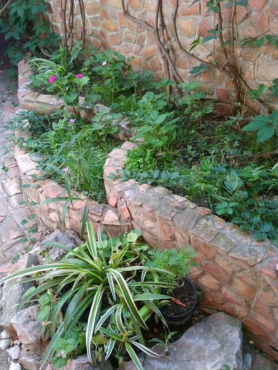 Комната 20 м² в 5-к., 1/2 эт.