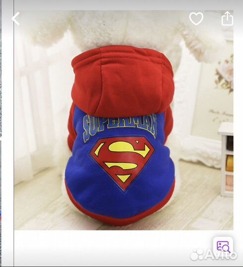 Одежда для кота или собаки