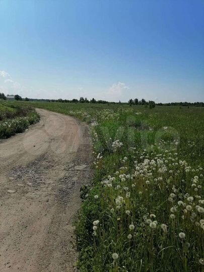 Участок 7 сот. (СНТ, ДНП)