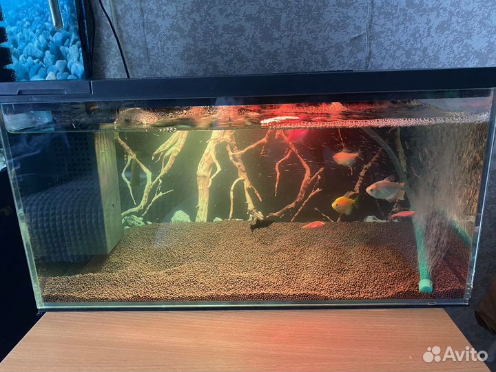 Аквариум Xiaomi Petkit