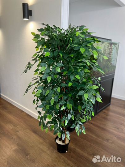 Искусственные растения / озеленение Казань