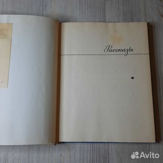 Старый чудак. Холендро