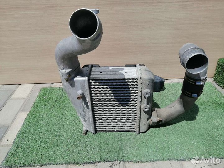 Интеркуллер Nissan Y34