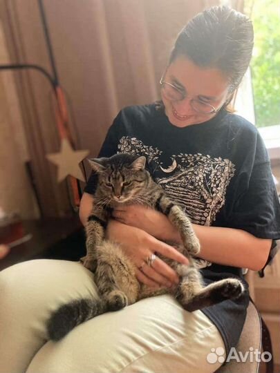 Котоняня с выездом на дом