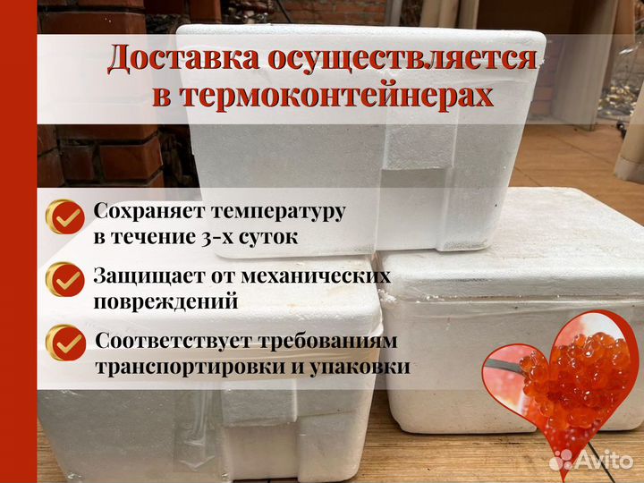 Красная Икра 13/25