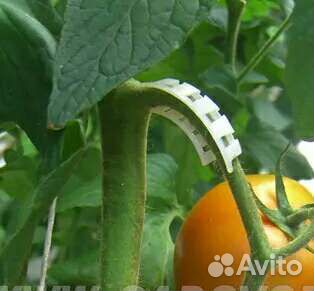 Кистедержатель 50шт для томатов