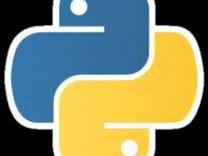 Программист Python: Решить, Написать код