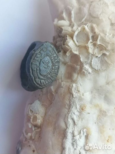 Старинное кольцо перстень печатка 14-15 век