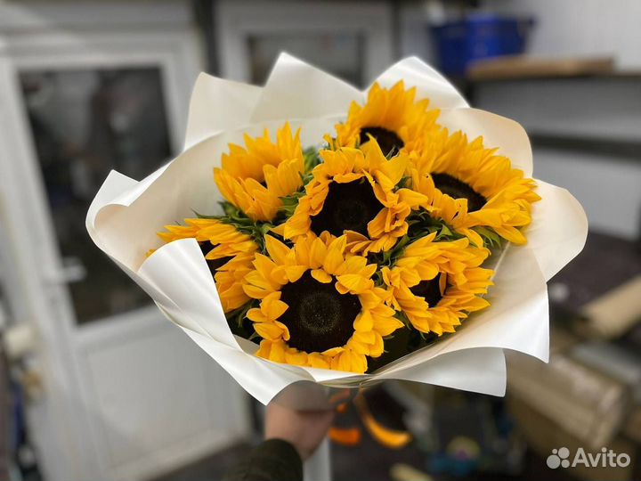 Подсолнухи