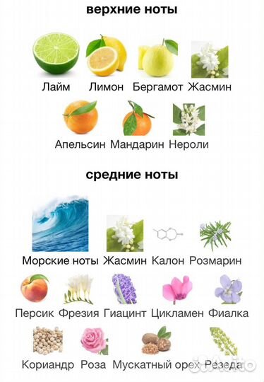 Мужская парфюмерная вода Armani aqua di gio