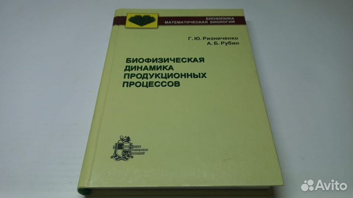 Биофизическая динамика продукционных процессов