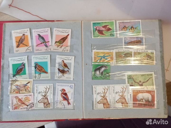 Марки в альбоме