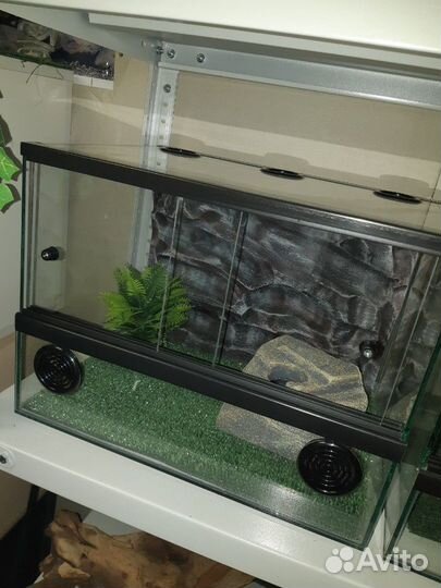 Обзорные террариумы