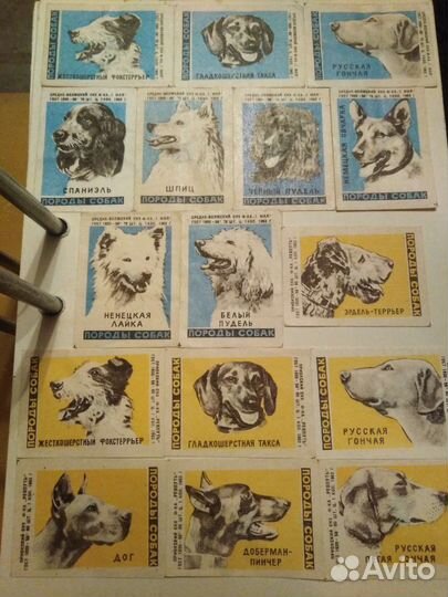 Этикетки порода собак и охраняйте зверей