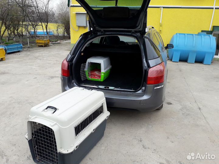 Перевозка собак, перевозка животных, зоотакси