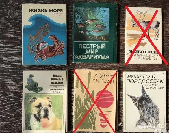 Набор открыток Природа, флора и фауна