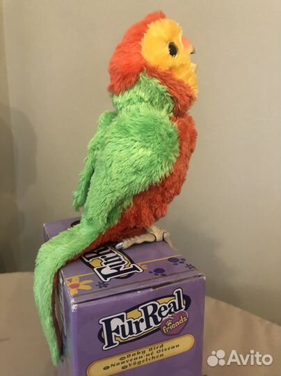 Попугай Full real от Hasboro