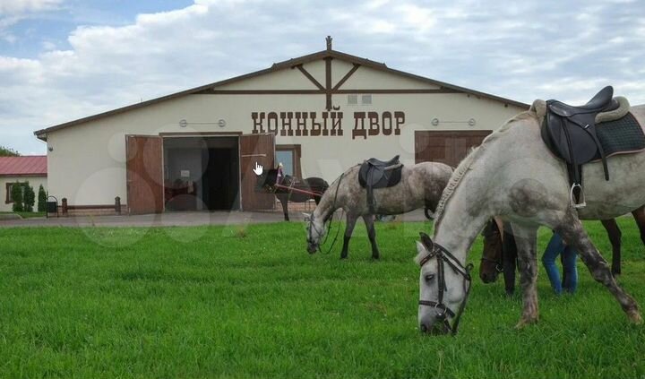 Участок 10 сот. (ИЖС)