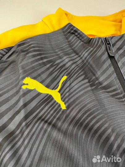 Кофта (олимпийка) спортивная Borussia 14/16