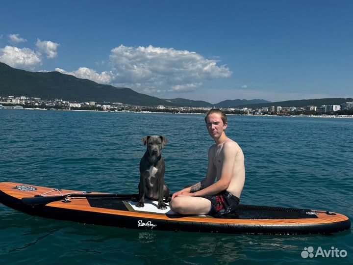 Аренда сап борд