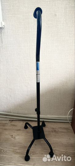 Бадик трость