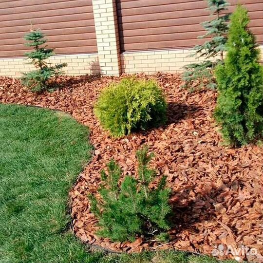 Мульча кора лиственницы