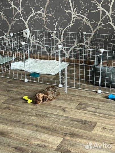 Вольер для щенков