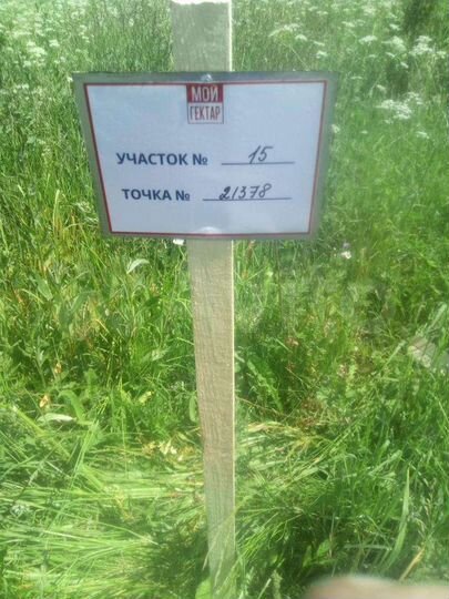 Участок 100 сот. (СНТ, ДНП)