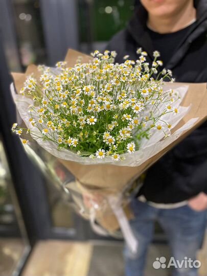 Ромашки Букеты из ромашек Цветы Доставка