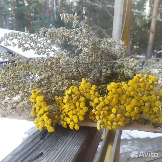 Антипаразитарный сбор - полынь, пижма, календула