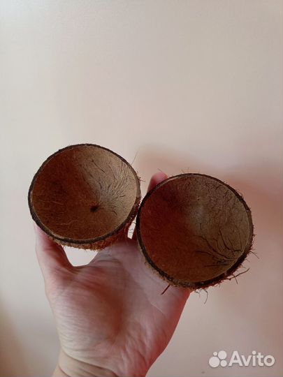 Мхи, кокосы аквариумные