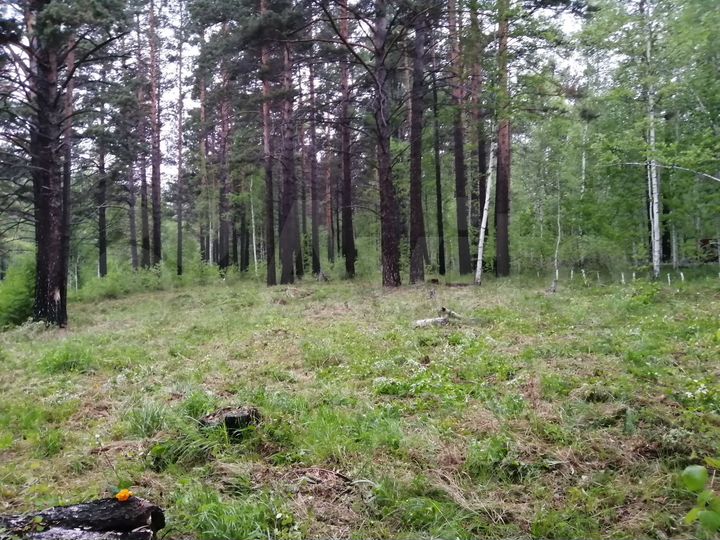 Участок 5 сот. (СНТ, ДНП)