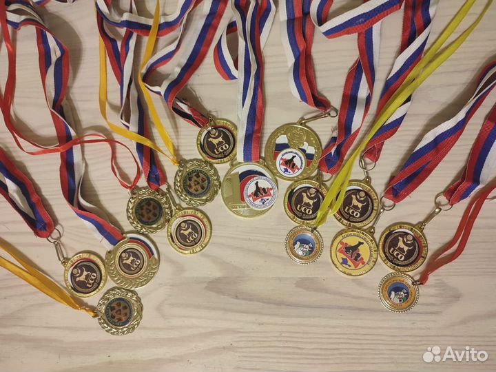 Щенки питбультерьера